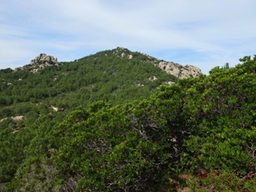 38.Monte Pinu (742m)